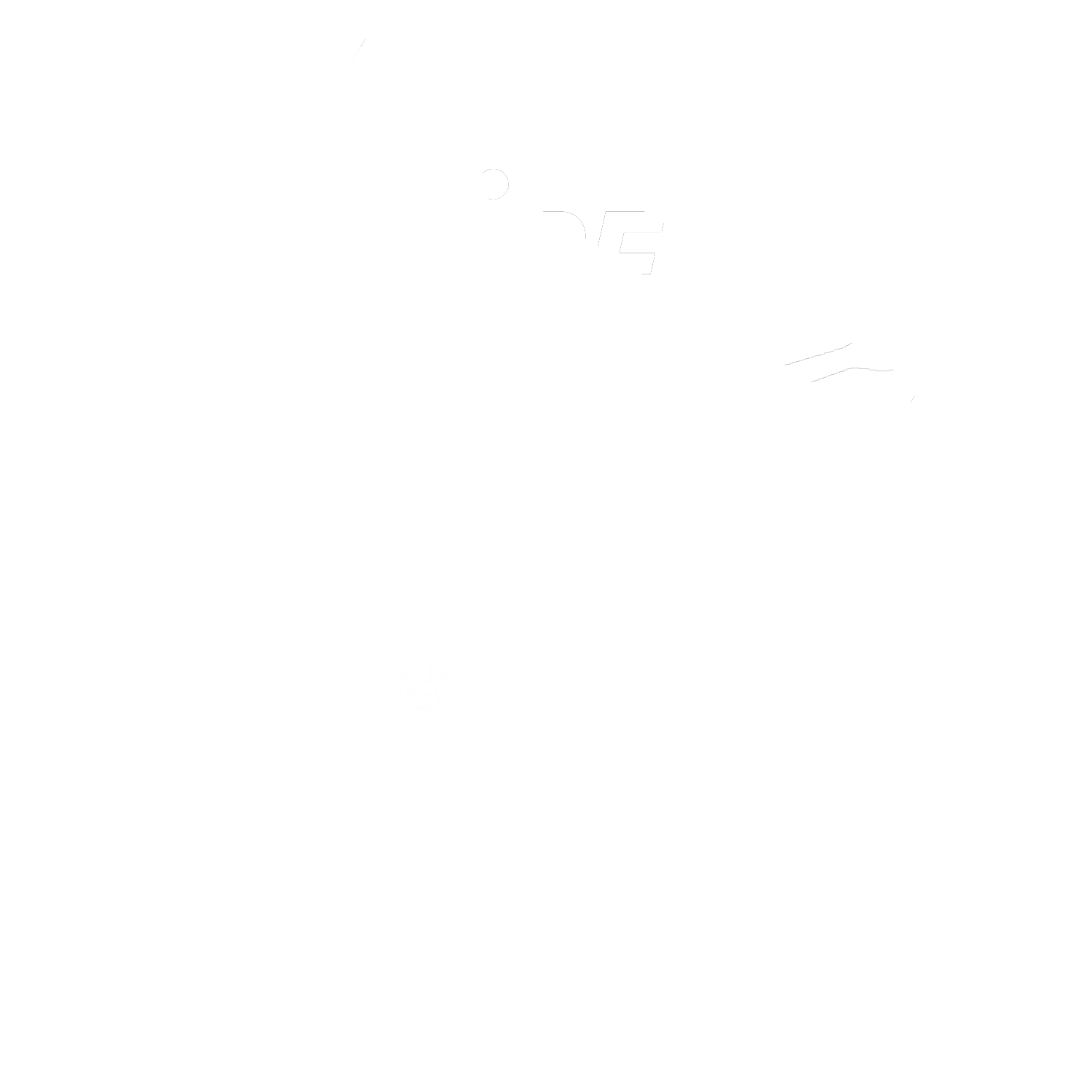 Secteur SELS Sport Boules